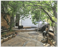  2025Ÿ��824 �뱸 ������ ���굿 705-1       �ܵ�����,�����ð��