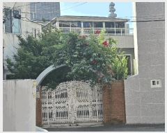  2025Ÿ��824 �뱸 ������ ���굿 705-1       �ܵ�����,�����ð��