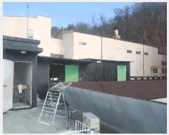  2025Ÿ��5124 �뱸 ���� �Ȱ����185�� 33-10       ���ڽü�,����,ȣ��,�������