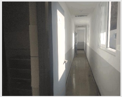  2025Ÿ��5124 �뱸 ���� �Ȱ����185�� 33-10       ���ڽü�,����,ȣ��,�������