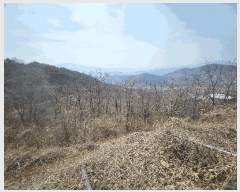  2025Ÿ��5988  �ٸ��ü����