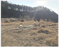  2025Ÿ6073  ĥ   176-2      ()