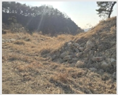  2025Ÿ6073  ĥ   176-2      ()