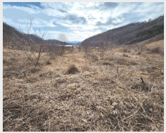  2025Ÿ��6639  ����