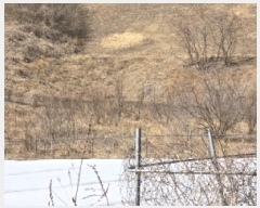  2025Ÿ��6639  ����