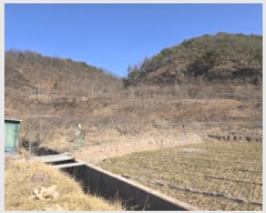  2025Ÿ��6639  ����