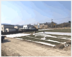  2025Ÿ7289  õ ų ȭ 376-6      ()