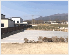  2025Ÿ7289  õ ų ȭ 376-6      ()