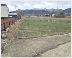  2025Ÿ7289  õ ų ȭ 376-6      ()