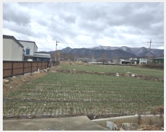  2025Ÿ7289  õ ų ȭ 376-6      ()