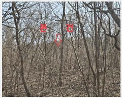  2025Ÿ��7322 ��� ĥ� ����� ���츮 ��100      ����(�Ӿ�)���