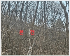  2025Ÿ��7322 ��� ĥ� ����� ���츮 ��100      ����(�Ӿ�)���