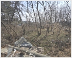  2025Ÿ��7407 ��� ���� ���̸� ��縮 135-1      ����(��1)���