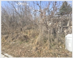  2025Ÿ��7407 ��� ���� ���̸� ��縮 135-1      ����(��1)���