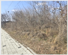  2025Ÿ��7407 ��� ���� ���̸� ��縮 135-1      ����(��1)���