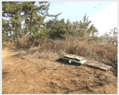  2025Ÿ��7418 ��� ĥ� �ϻ��� ���� 473      ����(��1)���