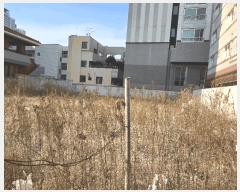  2025Ÿ��7429  �������