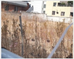  2025Ÿ��7429  �������