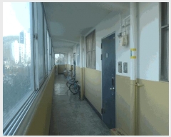  2025Ÿ7494 뱸 ϱ  608-5 5 3303ȣ     Ʈ