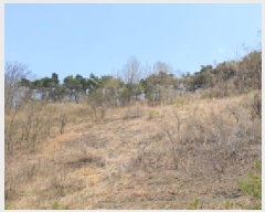  2025Ÿ��7560  �Ӿ߰��