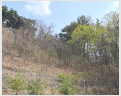  2025Ÿ��7560  �Ӿ߰��