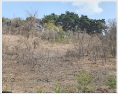  2025Ÿ��7560  �Ӿ߰��