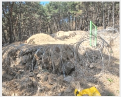  2025Ÿ��7648  �Ӿ߰��