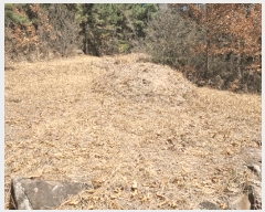  2025Ÿ��7648  �Ӿ߰��