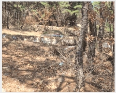  2025Ÿ��7648  �Ӿ߰��