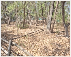  2025Ÿ��7648  �Ӿ߰��