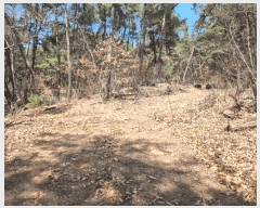  2025Ÿ��7648  �Ӿ߰��