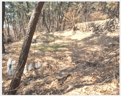  2025Ÿ��7648  �Ӿ߰��