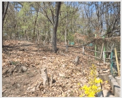  2025Ÿ��7648  �Ӿ߰��