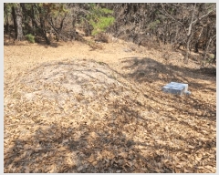  2025Ÿ��7648  �Ӿ߰��