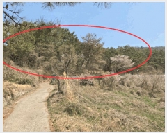  2025Ÿ��7725 ��� û���� ȭ���� ��Ÿ� ��194-6      ����(�Ӿ�)���