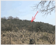  2025Ÿ��7725 ��� û���� ȭ���� ��Ÿ� ��194-6      ����(�Ӿ�)���