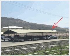  2025Ÿ��7725 ��� û���� ȭ���� ��Ÿ� ��194-6      ����(�Ӿ�)���