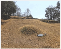  2025Ÿ��7725 ��� û���� ȭ���� ��Ÿ� ��194-6      ����(�Ӿ�)���