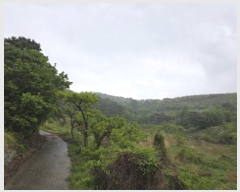  2025Ÿ��7725 ��� û���� ȭ���� ��Ÿ� ��194-6      ����(�Ӿ�)���