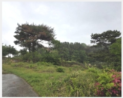  2025Ÿ��7725 ��� û���� ȭ���� ��Ÿ� ��194-6      ����(�Ӿ�)���