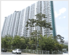  2025Ÿ��7956  ����Ʈ���