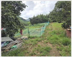  2025Ÿ��8064  �����