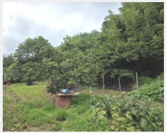  2025Ÿ��8064  �����