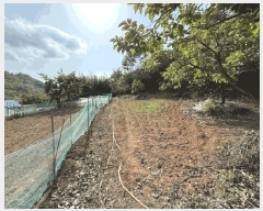  2025Ÿ��8064  �����