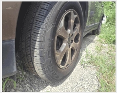  2025Ÿ��9048 �뱸 �ϱ� ��ȣ�� 416 ���丶Ʈ �뱸������     �������