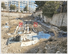  2025Ÿ��583 �뱸 ���� ������ 239       ����(��)���