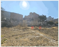  2025Ÿ��583 �뱸 ���� ������ 239       ����(��)���