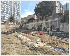  2025Ÿ��583 �뱸 ���� ������ 239       ����(��)���