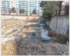  2025Ÿ��583 �뱸 ���� ������ 239       ����(��)���