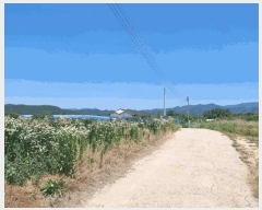  2025Ÿ��770 ��� ��õ�� �Ӱ��� ��õ�� 189-1      ����(��1)���